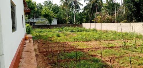Valikamam South Villa | Pet-Friendly Shyla Villa: A Cozy Family Retreat