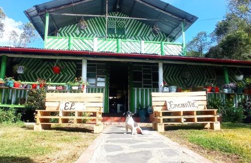 Saboya House | Pet-Friendly Retreat at Cabaña Encanto for Family Fun