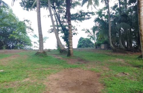 Darga Town Apartment | Pet-Friendly Bentota River Edge Home for Family Getaways