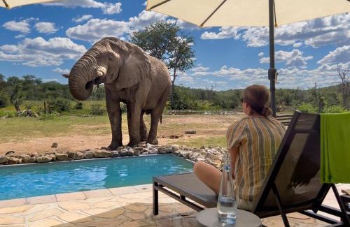 Okaukuejo Cabin | Ongava Tented Camp: Experience Nature with Ocean Views