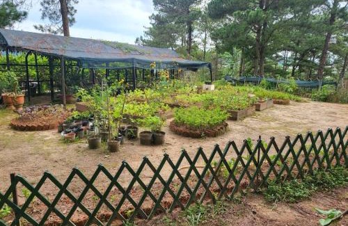 Da Lat Apartment | Discover Family Comfort at Full Moon Farms Dalat