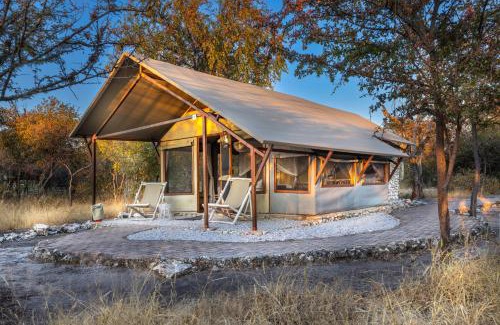 Tsumeb Resort | Experience Nature at Mushara Bush Camp with Ocean Views
