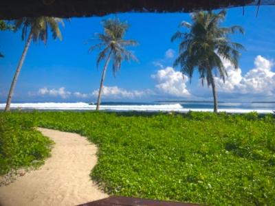 Sumatra House | Beachfront Escape at Southern Mentawai Outpost