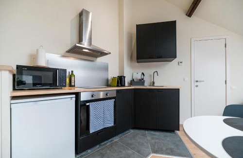 Quartier Saint-Gery - Sint-Gorikswijk Apartment | Charming Studio Retreat in Central Brussels - Pet Friendly