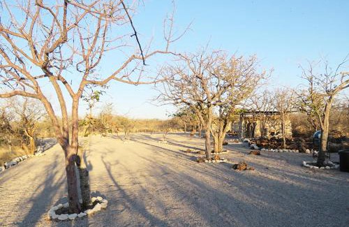 Okaukuejo Other | Budget-Friendly Etosha Village Campsite with Pool and Dining