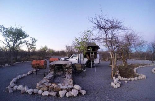 Okaukuejo Other | Budget-Friendly Etosha Village Campsite with Pool and Dining