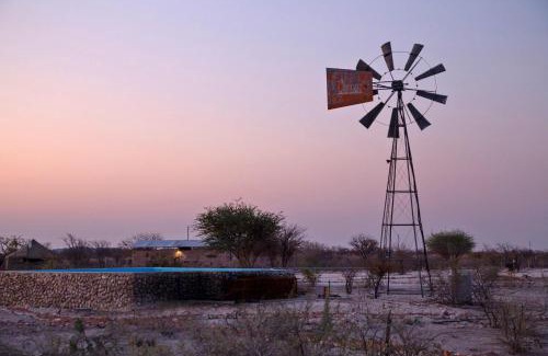 Okaukuejo Other | Discover Etosha Trading Post Campsite: Family-Friendly Retreat