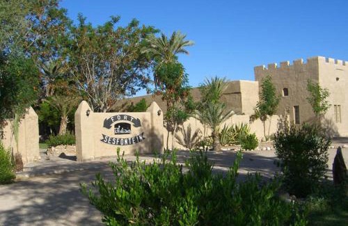 Sesfontein Hotel | Explore Fort Sesfontein Lodge & Safaris with Family-Friendly Amenities