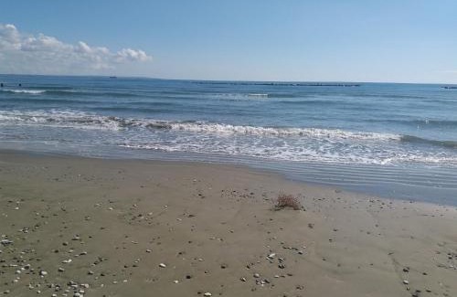 Livadia Apartment | Cozy Garden Studio with Ocean View, 1km from the Beach