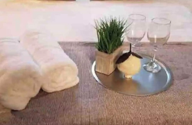 Cozy 2 bedroom home in Rialto with Mountain & Garden Views, near Downtown.