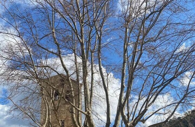 Homerez - Beautiful appartement for 4 ppl. at Saint-Guilhem-le-Désert