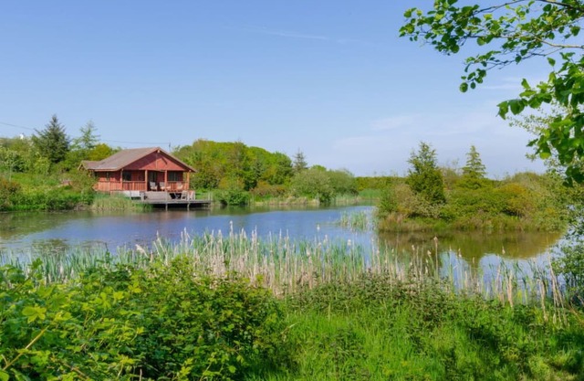 Cosy apartment in villa for 2 people with WIFI, TV, pets allowed and parking