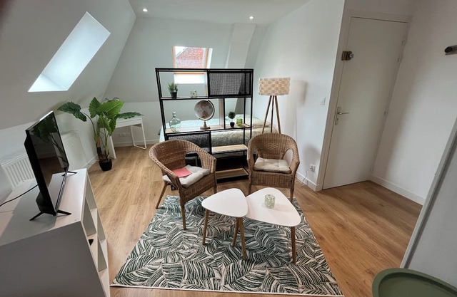 Le Jungle,studio Agréable Dans Copropriété Calme, Entièrement Meublé et Aménagé
