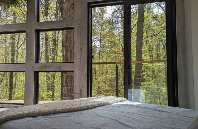 Modern Cabin in the Woods