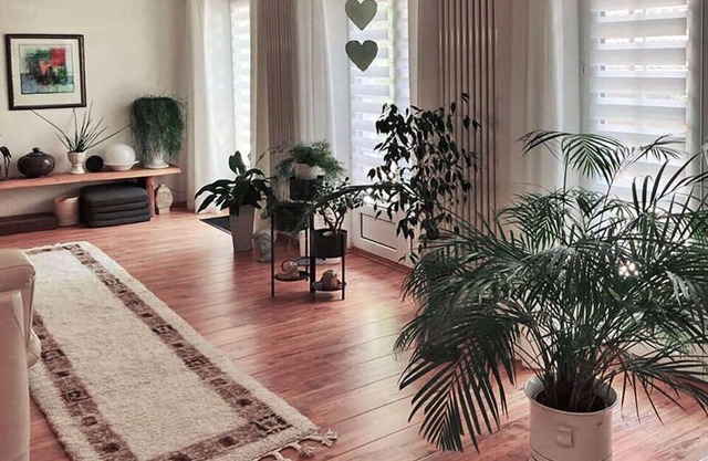 Lieselhaus Modern retreat