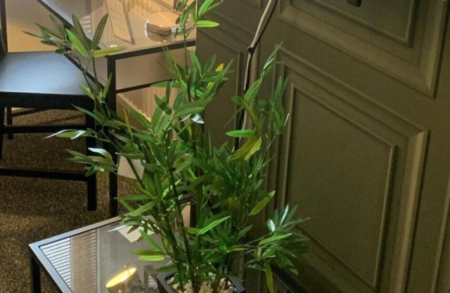 Matipa-Rise Apartments