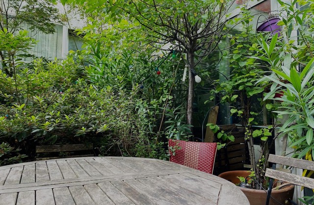 AMAZING TOWNHOUSE WITH SHARED TREE-LINED COURTYARD