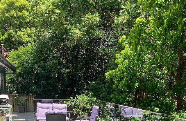 Peaceful Surrounds Point Clare Pet friendly
