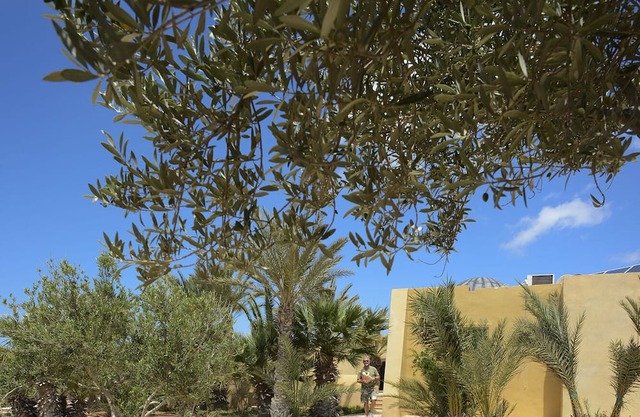 Dar Almassa