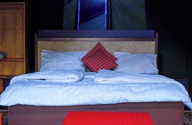 Daga Camp - Charming 1-bedroom bed & breakfast in serene Mikumi with AC