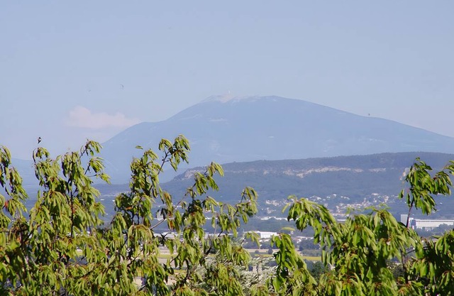 Guest House 'Chambre Côté Ventoux' with Shared Pool and Garden