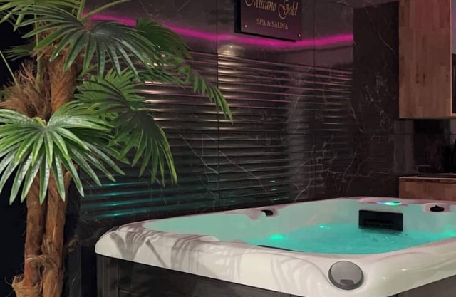 Gite with SPA & Private SAUNA "Murano Gold
