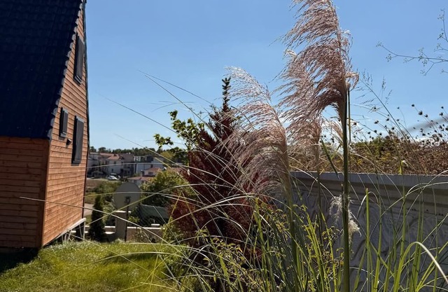 MERKEZDE DOGAYLA İÇ İÇE DENİZE 100 METRE MESAFEDE BUNGALOV.