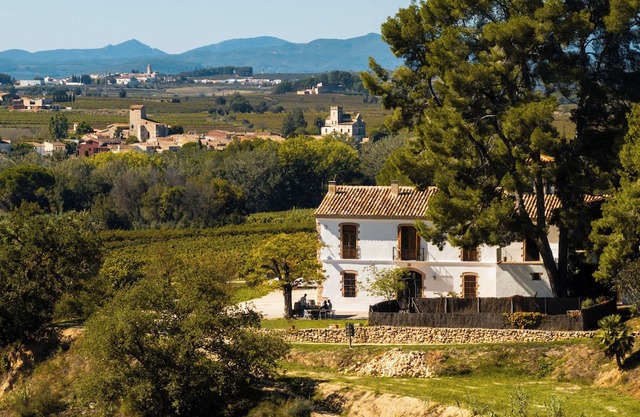 Manor house in a vineyard estate, 35' from Barcelona