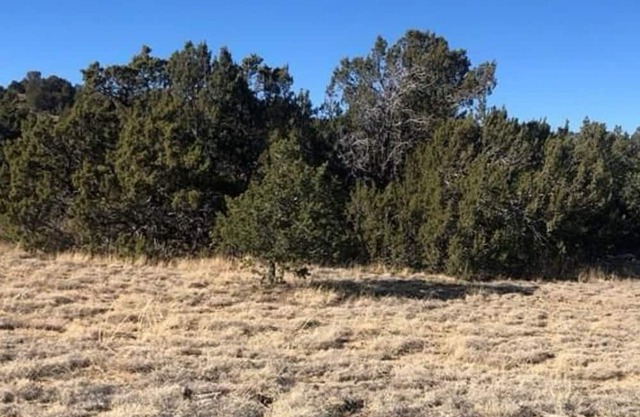 This property is no longer available for use.