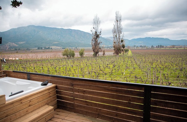 Apalta Lofts, enjoy the vineyards in front of the vineyards