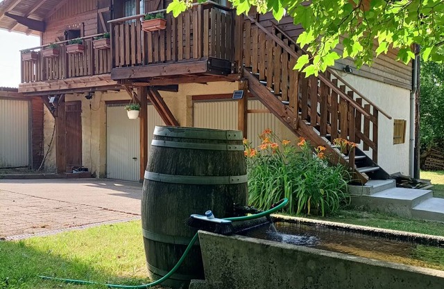 Chalet Ida in its green setting between Gérardmer and Alsace