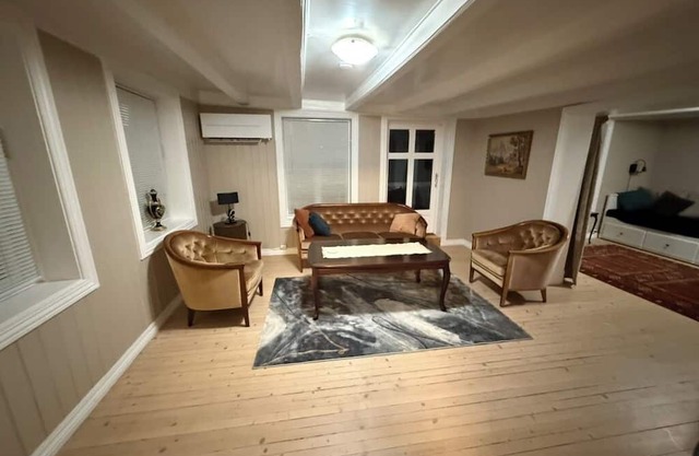 Adorable house with AC in charming Telemark