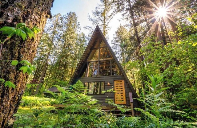 Modern A-Frame - Hot Tub - Forest Escape