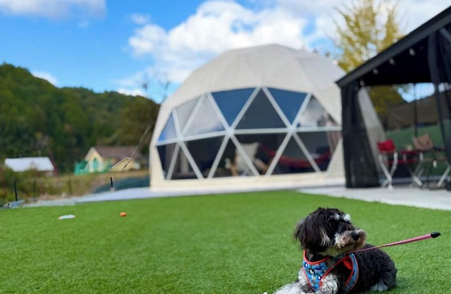 Room only Small dogs allowed Bonus included /Sanda City Hyōgo