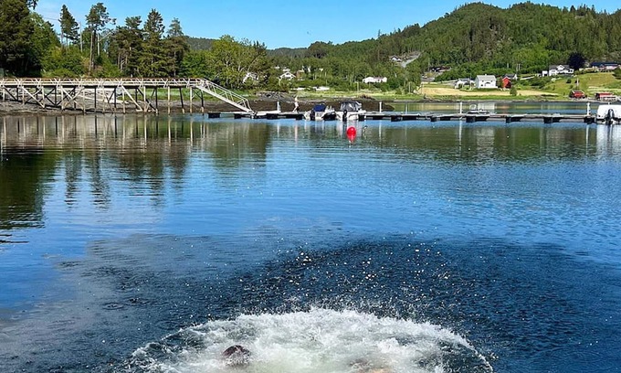 Leksvik House | Ideal Holiday Home for 6 with Oceanfront Views in Åsenfjord