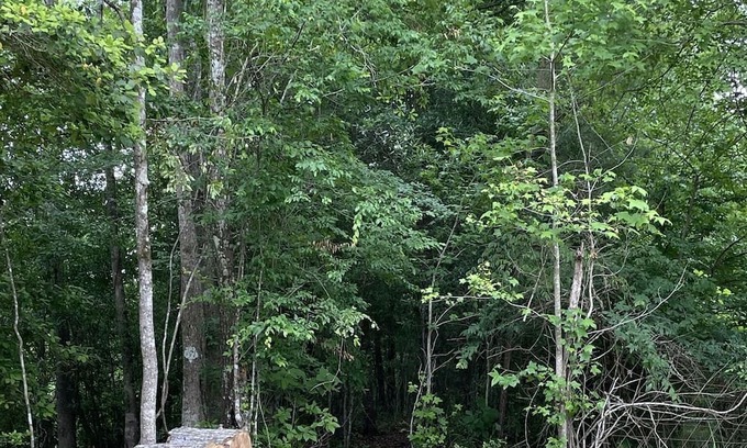 Jasper Cabin | Inviting Cabin by Angelina River Near Sam Rayburn Lake