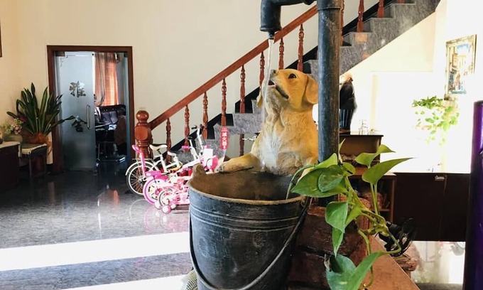 Jiji House | Top-Rated Chong Er Ya She Homestay with Breakfast Included