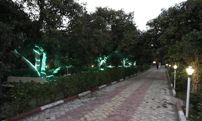 Talala Hotel | Aarambh Jungle Vista Resort, Gir