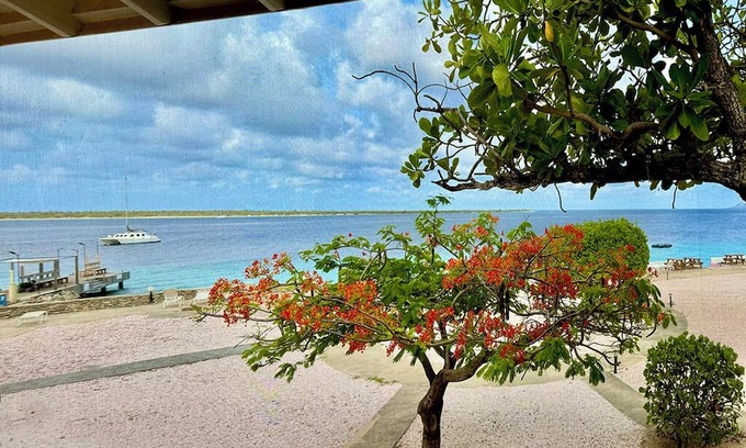 Kralendijk Condo | Stunning Oceanfront 2-Bed, High End Remodel, Luxury Furnishings, Sand Dollar A6