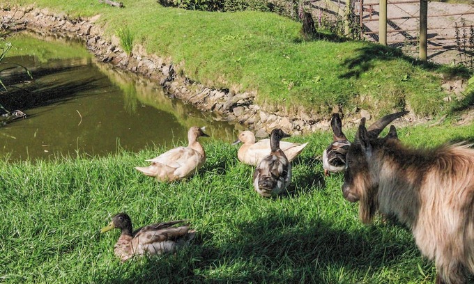 Umberleigh Cottage | 3 bedroom accommodation in Kings Nympton, near South Molton