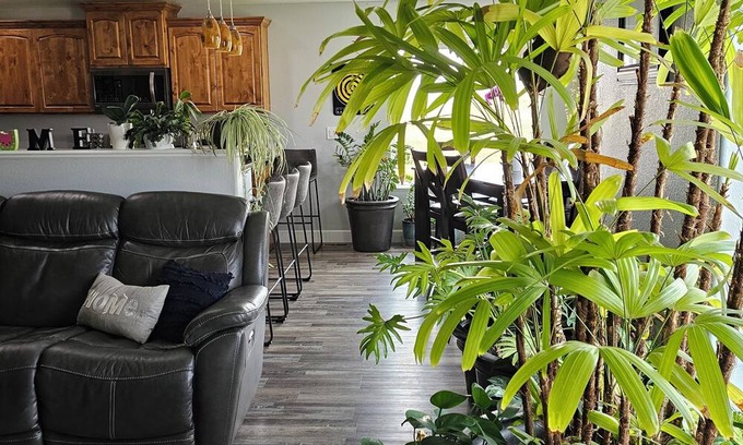 Gillette House | Cozy family friendly 5 bedroom home 10 min drive from Camplex