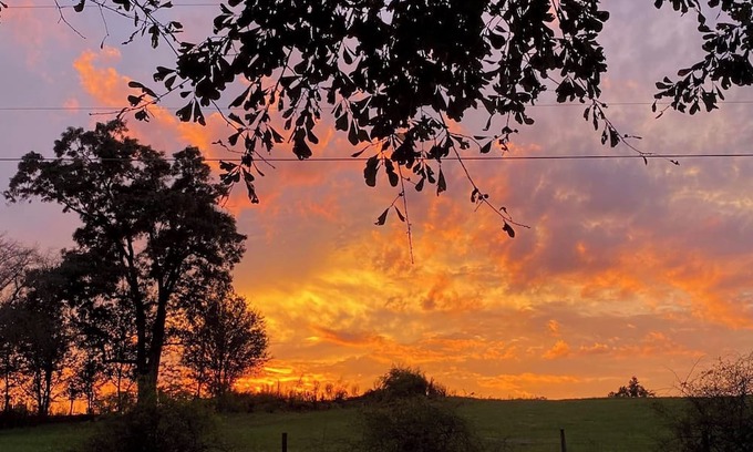 Jersey Cottage | Farm Stay - Spend the night in a converted grain silo on a working tree farm!
