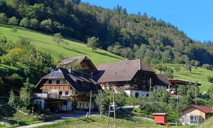 Gengenbach House | Cozy Eisenmann Holiday Farm: Pet-Friendly Retreat Awaits
