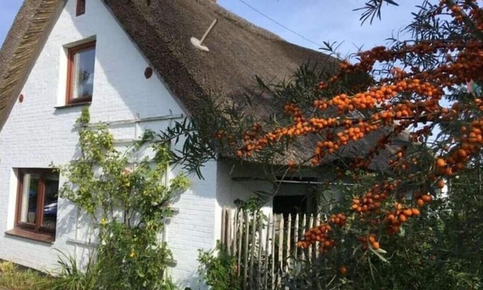 Groven House | Cozy Thatched Cottage with Kitchen & Pet-Friendly Amenities