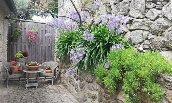 Mangualde Apartment | Charming Rural Apartment Perfect for Family Getaways