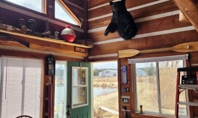 Clarington Cabin | Cozy Dreamers Cabin at Dare2Dream Farm - Family Friendly Stay