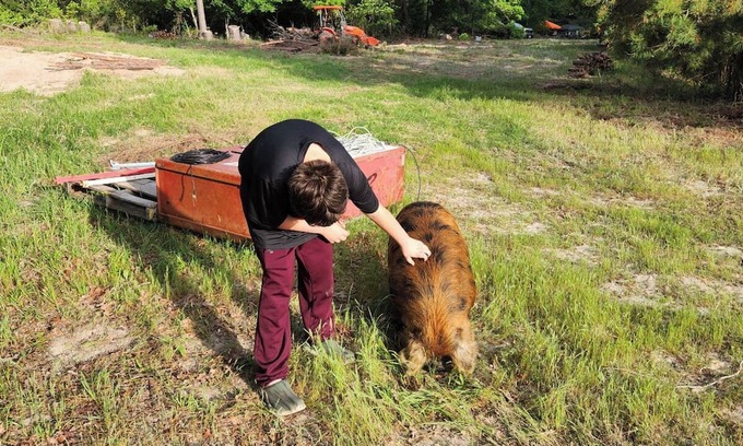 Palestine RV Rental | Inviting Tent Cabin Rental at The Fabulous Bok Vegas Petting Zoo