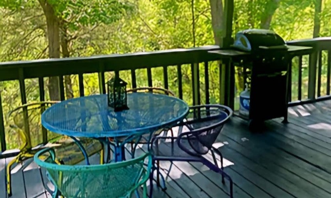 Ferguson House | Gabi's Getaway: Pet-Friendly Retreat with Spa & Hot Tub