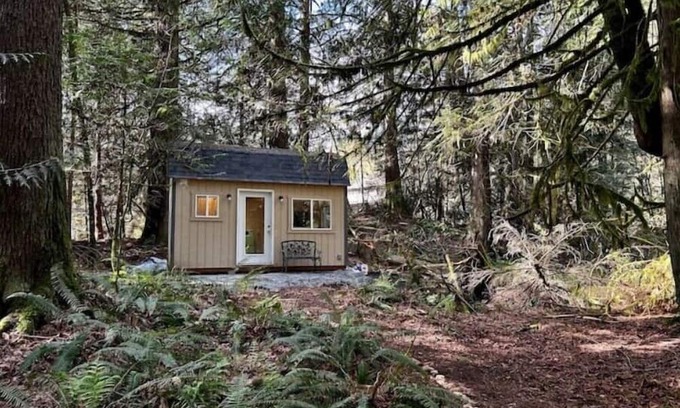 Snohomish Cabin | Cozy Hideaway Cabin: Perfect for Family Getaways