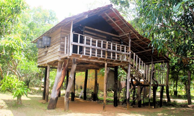 Habarana Cabin | Cozy Cabin 2 Twin Beds at Eagles Wing's Guest House